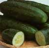 v_cucumberburpless.jpg